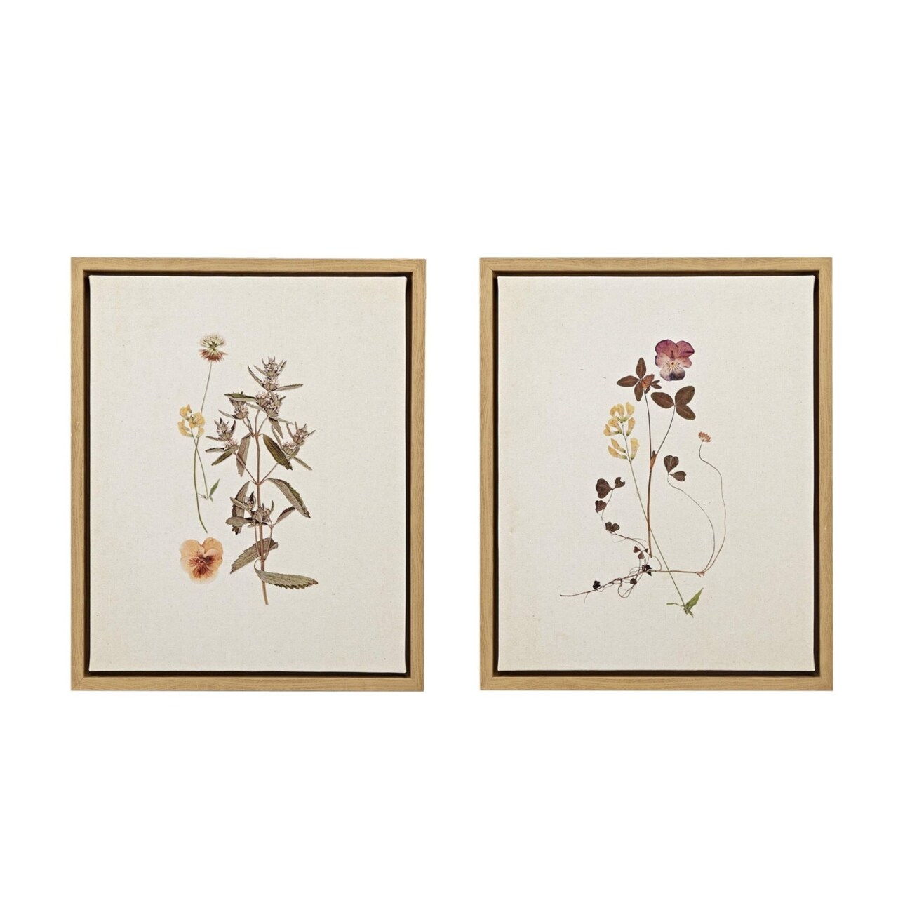 MARTHA STEWART French Herbarium Set Framed Linen Canvas 2 Piece Set See Below
